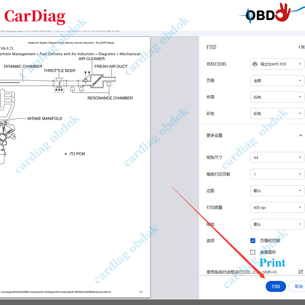 2026年版Alldata USオンラインソフトウェアは、P - Workshop Tools Online のレビューと価格